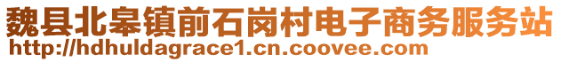 魏縣北皋鎮(zhèn)前石崗村電子商務(wù)服務(wù)站