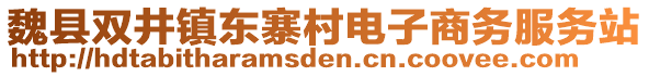 魏縣雙井鎮(zhèn)東寨村電子商務(wù)服務(wù)站