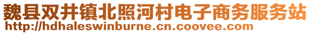 魏縣雙井鎮(zhèn)北照河村電子商務(wù)服務(wù)站