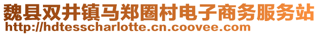 魏县双井镇马郑圈村电子商务服务站