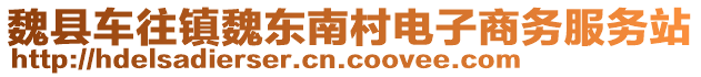 魏县车往镇魏东南村电子商务服务站