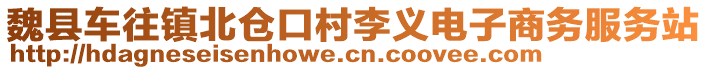 魏县车往镇北仓口村李义电子商务服务站