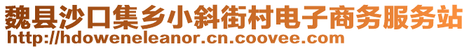 魏县沙口集乡小斜街村电子商务服务站