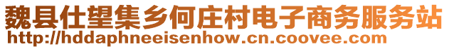 魏縣仕望集鄉(xiāng)何莊村電子商務服務站