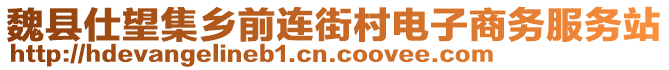 魏縣仕望集鄉(xiāng)前連街村電子商務服務站