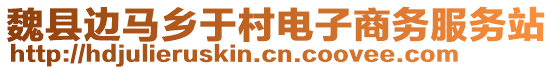 魏縣邊馬鄉(xiāng)于村電子商務(wù)服務(wù)站