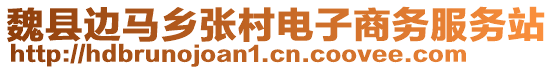 魏縣邊馬鄉(xiāng)張村電子商務(wù)服務(wù)站