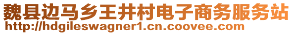 魏縣邊馬鄉(xiāng)王井村電子商務(wù)服務(wù)站