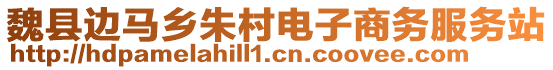 魏縣邊馬鄉(xiāng)朱村電子商務(wù)服務(wù)站