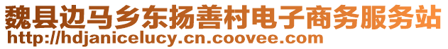 魏县边马乡东扬善村电子商务服务站