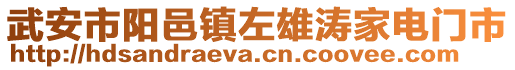 武安市阳邑镇左雄涛家电门市