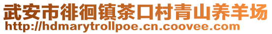 武安市徘徊鎮(zhèn)茶口村青山養(yǎng)羊場