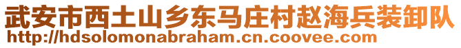 武安市西土山鄉(xiāng)東馬莊村趙海兵裝卸隊