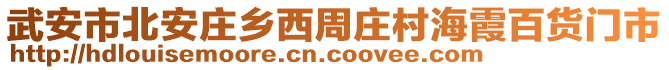 武安市北安莊鄉(xiāng)西周莊村海霞百貨門市