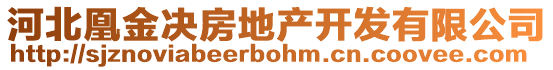 河北凰金决房地产开发有限公司