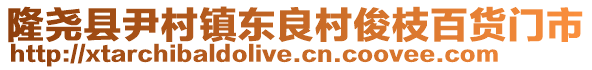 隆堯縣尹村鎮(zhèn)東良村俊枝百貨門市