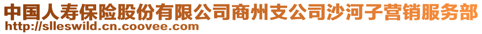 中國人壽保險股份有限公司商州支公司沙河子營銷服務部