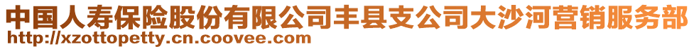 中國人壽保險(xiǎn)股份有限公司豐縣支公司大沙河營銷服務(wù)部