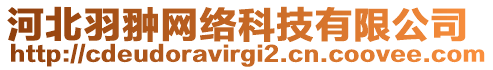 河北羽翀網(wǎng)絡(luò)科技有限公司