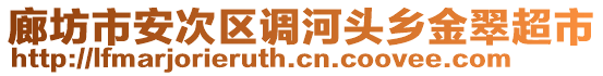 廊坊市安次區(qū)調(diào)河頭鄉(xiāng)金翠超市