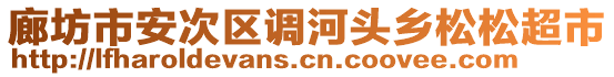 廊坊市安次區調河頭鄉松松超市