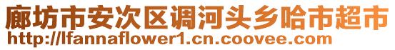 廊坊市安次區(qū)調(diào)河頭鄉(xiāng)哈市超市