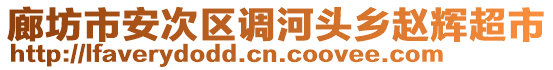 廊坊市安次區(qū)調(diào)河頭鄉(xiāng)趙輝超市