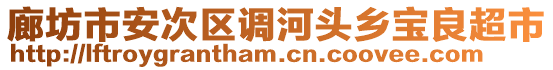 廊坊市安次區(qū)調(diào)河頭鄉(xiāng)寶良超市