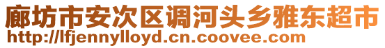 廊坊市安次區(qū)調(diào)河頭鄉(xiāng)雅東超市