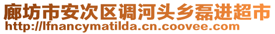 廊坊市安次區(qū)調(diào)河頭鄉(xiāng)磊進(jìn)超市