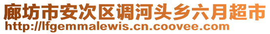 廊坊市安次區(qū)調(diào)河頭鄉(xiāng)六月超市