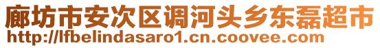 廊坊市安次區(qū)調(diào)河頭鄉(xiāng)東磊超市