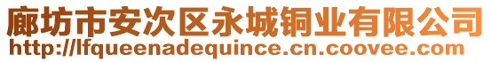 廊坊市安次區(qū)永城銅業(yè)有限公司