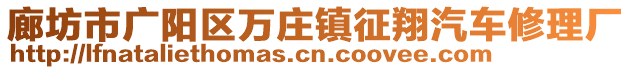 廊坊市廣陽區(qū)萬莊鎮(zhèn)征翔汽車修理廠