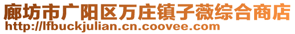 廊坊市廣陽區(qū)萬莊鎮(zhèn)子薇綜合商店