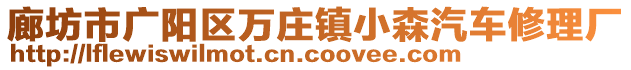 廊坊市廣陽區(qū)萬莊鎮(zhèn)小森汽車修理廠