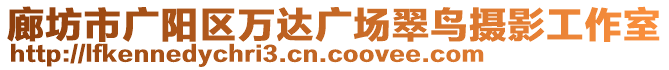 廊坊市廣陽(yáng)區(qū)萬(wàn)達(dá)廣場(chǎng)翠鳥(niǎo)攝影工作室