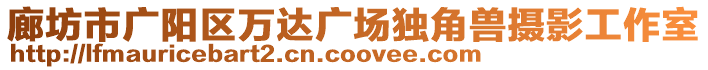 廊坊市廣陽區(qū)萬達廣場獨角獸攝影工作室