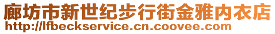 廊坊市新世紀步行街金雅內衣店