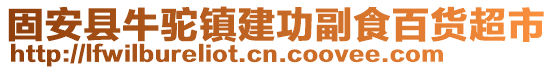 固安縣牛駝鎮(zhèn)建功副食百貨超市