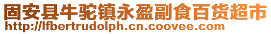 固安縣牛駝鎮永盈副食百貨超市