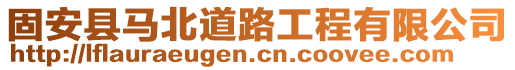 固安縣馬北道路工程有限公司