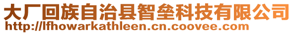 大廠回族自治縣智壘科技有限公司