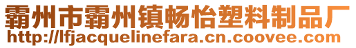 霸州市霸州鎮(zhèn)暢怡塑料制品廠