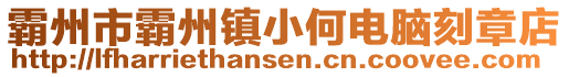 霸州市霸州鎮(zhèn)小何電腦刻章店