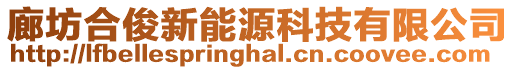 廊坊合俊新能源科技有限公司