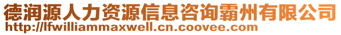 德潤源人力資源信息咨詢霸州有限公司