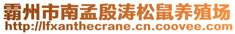 霸州市南孟殷濤松鼠養(yǎng)殖場