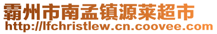 霸州市南孟鎮(zhèn)源萊超市