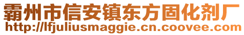 霸州市信安鎮(zhèn)東方固化劑廠